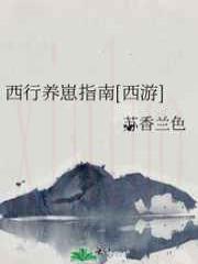 西行养崽指南[西游]